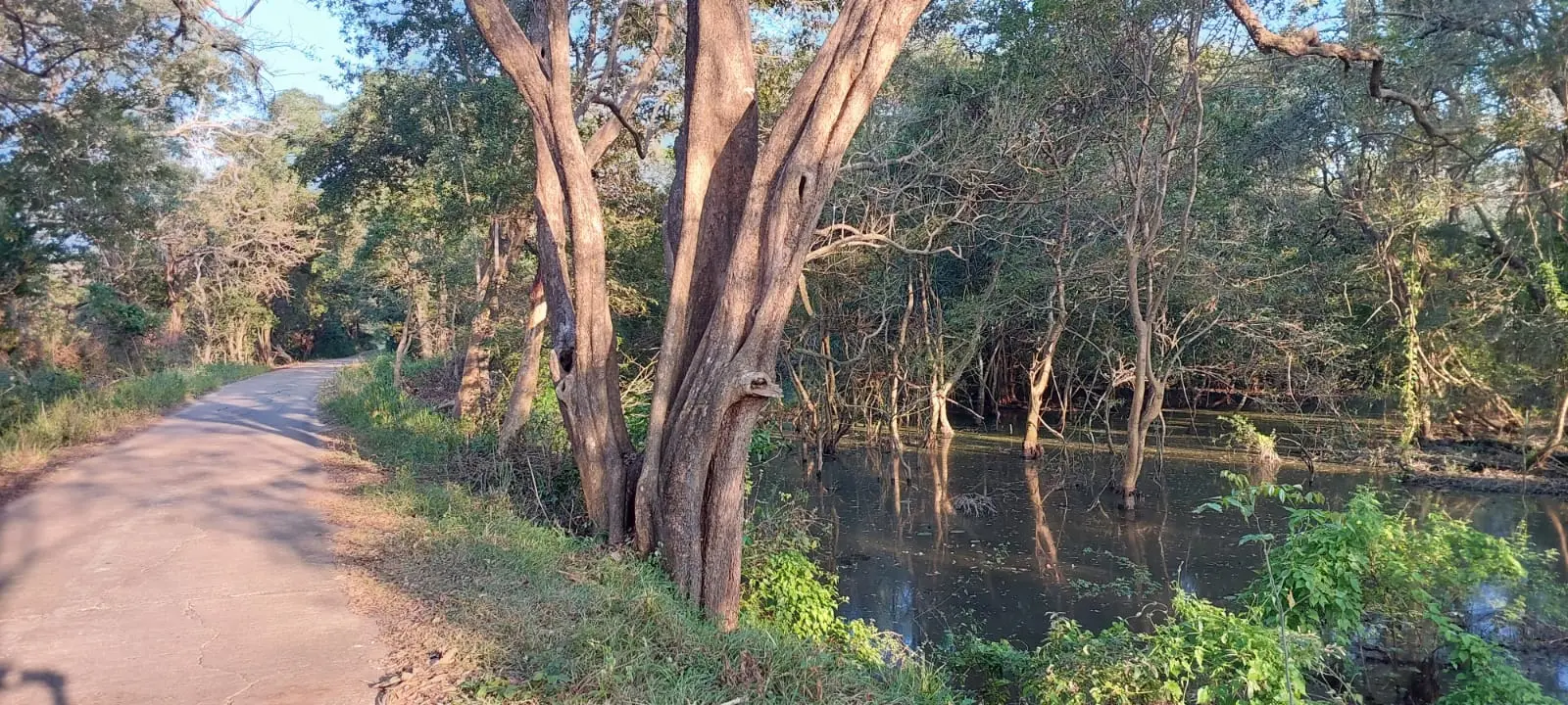 IMG-20250224-WA0116